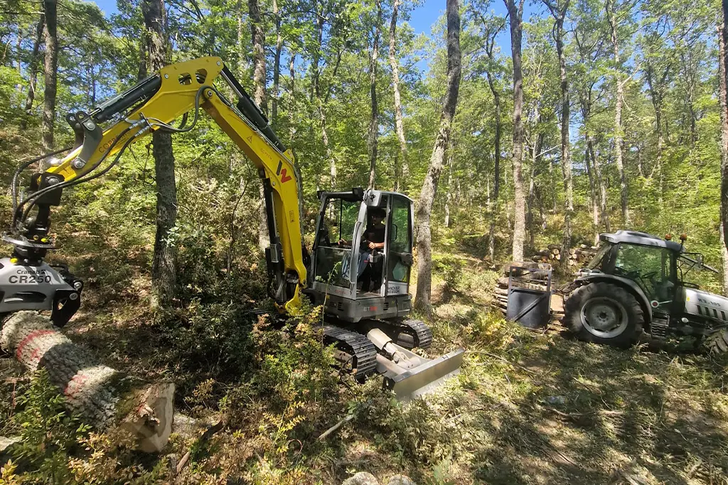 Utilizzazioni forestali Coltimber