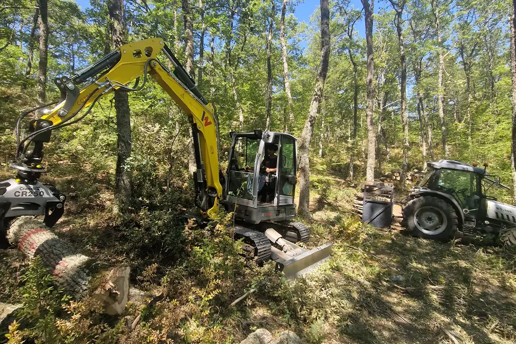 Strumentazione Coltimber
