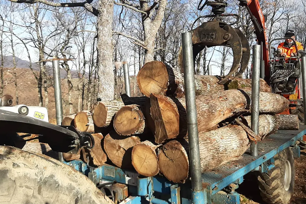 Strumentazione Coltimber